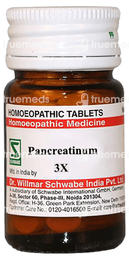 Dr Willmar Schwabe India Pancreatinum 3x Trituration Tablet 20 GM