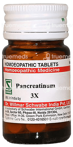 Dr Willmar Schwabe India Pancreatinum 3x Trituration Tablet 20 GM