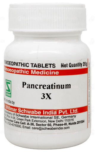 Dr Willmar Schwabe Pancreatinum 3X Tablet 20Gm