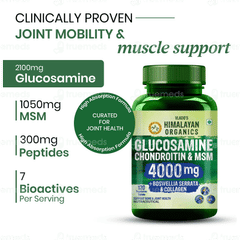 Himalayan Organics Glucosamine Chondroitin & Msm Vegetarian Tablet 120