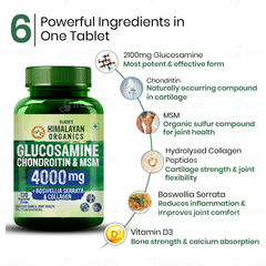 Himalayan Organics Glucosamine Chondroitin & Msm Vegetarian Tablet 120