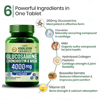 Himalayan Organics Glucosamine Chondroitin & Msm Vegetarian Tablet 120