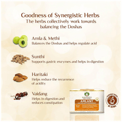 Maharishi Ayurveda Amlant Tablet 60