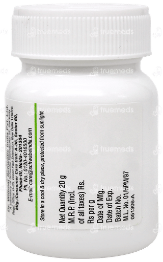 Dr Willmar Schwabe India Azadirachta Indica 1x Mt Tablet 20 GM