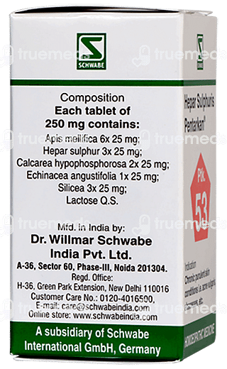 Dr Willmar Hepar Sulphuris Pentarkan Ptk 53 Tablet 20 GM