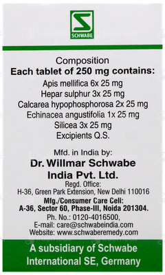 Dr Willmar Schwabe Hepar Sulphuris Pentarkan Ptk 53 Tablet 20gm