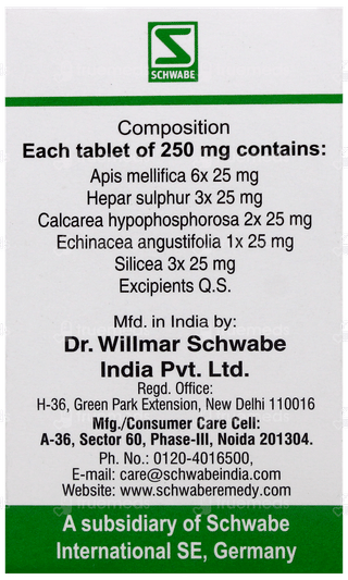 Dr Willmar Schwabe Hepar Sulphuris Pentarkan Ptk 53 Tablet 20gm
