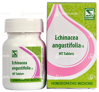 Dr Willmar Echinacea Angustifolia 1x Mt Tablet 20 GM