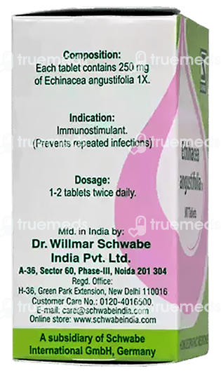 Dr Willmar Echinacea Angustifolia 1x Mt Tablet 20 GM