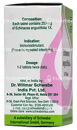 Dr Willmar Echinacea Angustifolia 1x Mt Tablet 20 GM