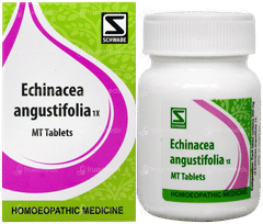 Dr Willmar Schwabe Echinacea Angustifolia 1x Mt Tablet 20gm