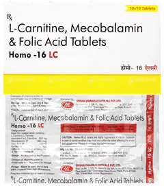 Homo 16 Lc Tablet 10 Homo 16 Lc Tablet 10