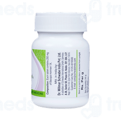Dr Willmar Schwabe Bacopa Monnieri 1x Mt Tablet 20gm
