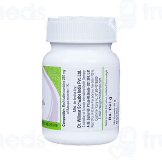 Dr Willmar Schwabe Bacopa Monnieri 1x Mt Tablet 20gm