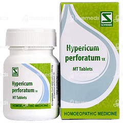 Dr Willmar Hypericum Perforatum 1x Mt Tablet 20 GM