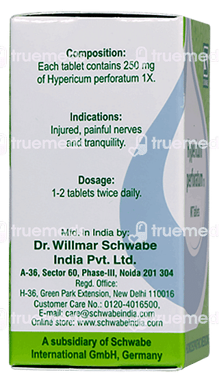 Dr Willmar Hypericum Perforatum 1x Mt Tablet 20 GM