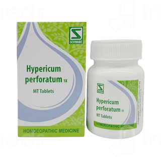 Dr Willmar Schwabe Hypericum Perforatum 1x Mt Tablet 20gm