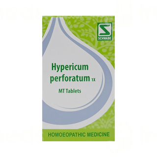 Dr Willmar Schwabe Hypericum Perforatum 1x Mt Tablet 20gm