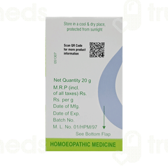 Dr Willmar Schwabe Hypericum Perforatum 1x Mt Tablet 20gm