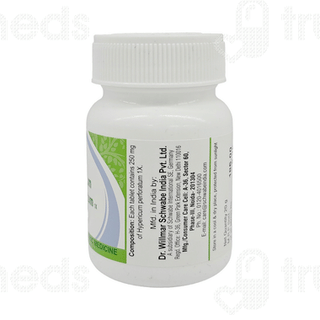 Dr Willmar Schwabe Hypericum Perforatum 1x Mt Tablet 20gm
