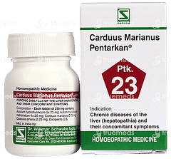 Dr Willmar Carduus Marianus Pentarkan Ptk 23 Tablet 20 GM