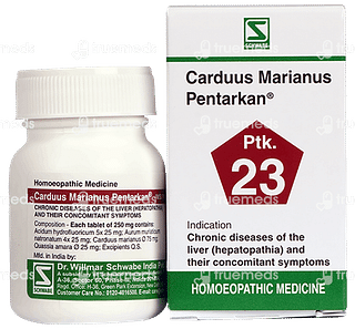 Dr Willmar Carduus Marianus Pentarkan Ptk 23 Tablet 20 GM