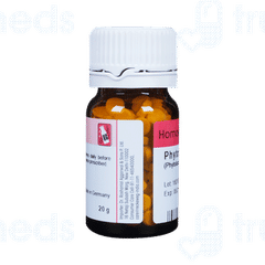 Dr Reckeweg Phytolacca Berry 3x Tablet 20gm