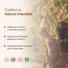 Maharishi Ayurveda Triphala Tablet 60
