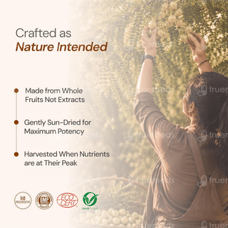 Maharishi Ayurveda Triphala Tablet 60