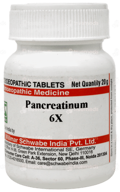 Dr Willmar Schwabe Pancreatinum 6x Tablet 20 GM Dr Willmar Schwabe Pancreatinum 6x Tablet 20 GM