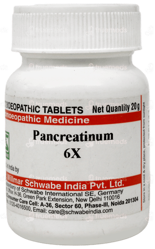 Dr Willmar Schwabe Pancreatinum 6x Tablet 20 GM