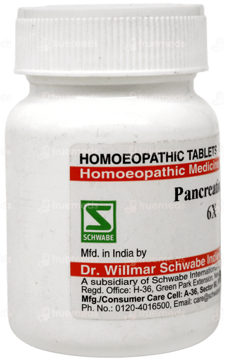 Dr Willmar Schwabe Pancreatinum 6x Tablet 20 GM