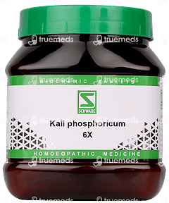 Dr Willmar Kali Phosphoricum 6x Tablet 550 GM