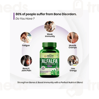 Himalayan Organics Alfalfa Calcium Citrate Malate Tablet 120