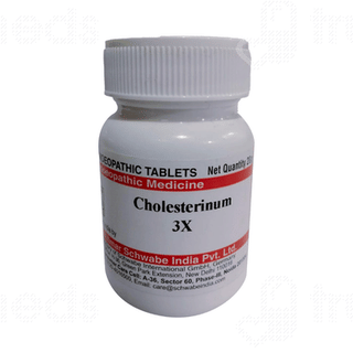 Dr Willmar Cholesterinum 3x Tablet 20gm