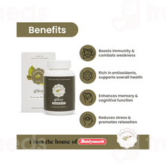 Baidyanath Ayurvedant Giloy Tablet 60