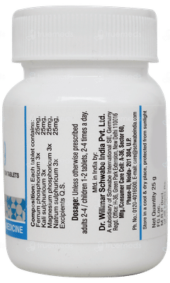 Dr Willmar Schwabe Bio Combination Bc 19 Tablet 20gm
