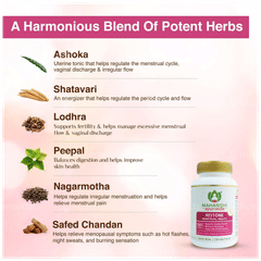 Maharishi Ayurveda Restone Tablet 120