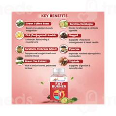 Dr Morepen Fat Burner Tablet 60 Dr Morepen Fat Burner Tablet 60