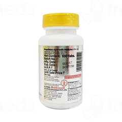 Baidyanath Jhansi Gaisantak Bati Tablet 100