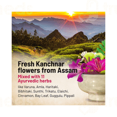 Gynoveda Kanchnar Guggulu Ayurvedic Tablet 240