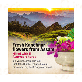 Gynoveda Kanchnar Guggulu Ayurvedic Tablet 240