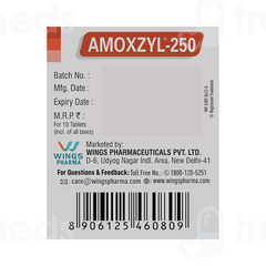 Amoxzyl 250 Mg Tablet 10