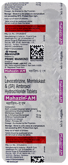 Mahazin Am Tablet 10