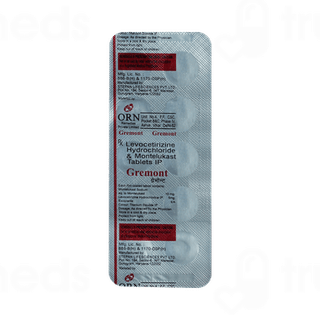 Gremont Tablet 10