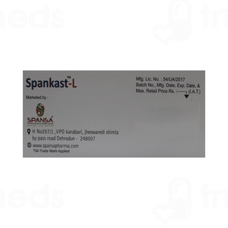 Spankast L Tablet 10