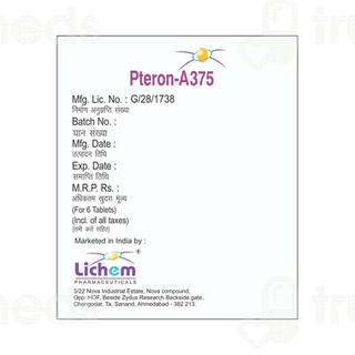 Pteron A375 Tablet 6
