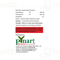 Pynace Tablet 10