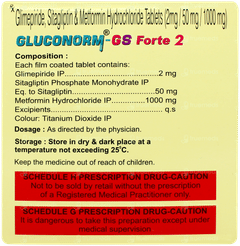 Gluconorm Gs Forte 2 Tablet 10 Gluconorm Gs Forte 2 Tablet 10