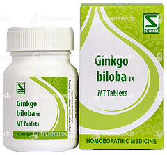 Dr Willmar Schwabe Ginkgo Biloba 1x Mt Tablet 20gm